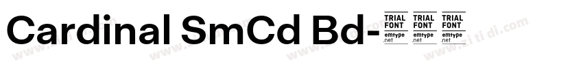 Cardinal SmCd Bd字体转换